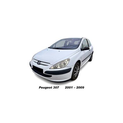 Peugeot 307 araba resmi